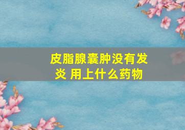 皮脂腺囊肿没有发炎 用上什么药物